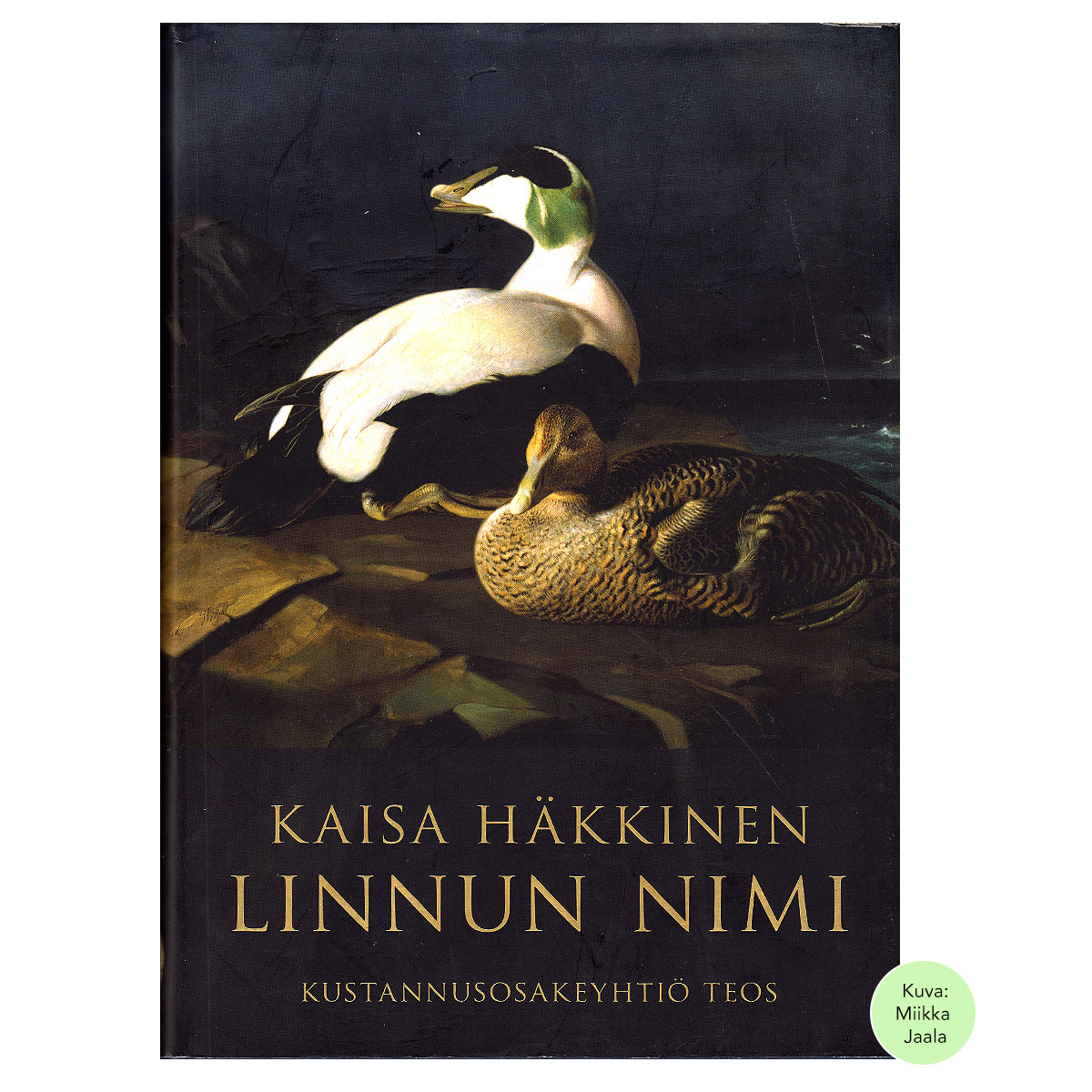 Linnun nimi | Häkkinen, Kaisa